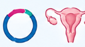Plasmid construct and ovaries